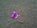 Invisible party (III)