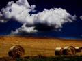 natura (c'era una volta il west-morricone)