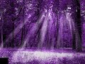 anachid-quelle-faveur-de-dieu-pouvons-nous-nier.html