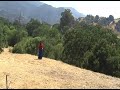 Fields