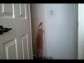 My Cat Bert Opens Doors