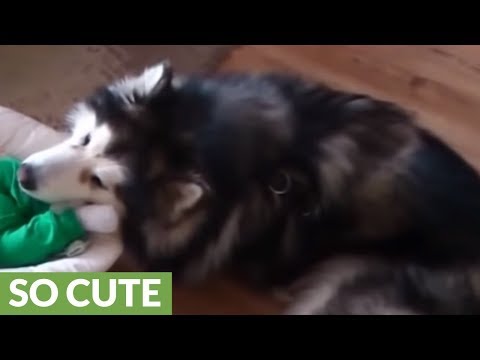 Play YouTube video