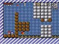 Asshole Mario Stage 2