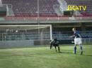 This is Zlatan (inedito canestro di tacco!!!) This is Zlatan (inedito canestro di tacco!!!)