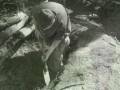 videos de NAM 2007_0001.wmv