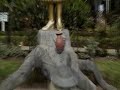 Parque de la Identidad Wanka
