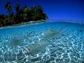 wide oceans