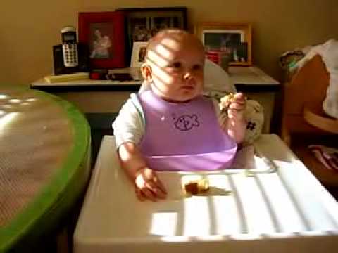 Freyja enjoys a crumpet