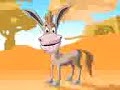 Funny Donkey