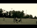 Flag Football starring COLTDOGG