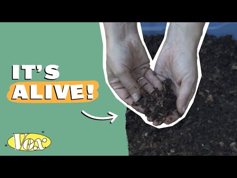 The secret history of dirt Thumbnail