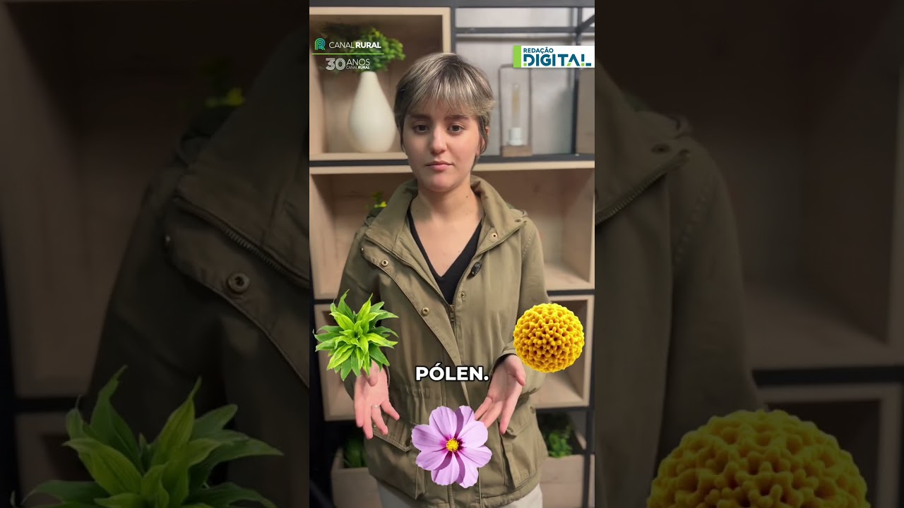 Inseto conhecido como “arrebenta-boi” exige cuidado, mas raramente causa acidentes