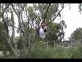 Zack vs Tree