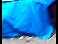 Typhoon Frank hits Cuyapo, Nueva Ecija
