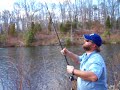 Chain Pickerel fishing in Va. In The Winter Chain Pickerel fishing in Va. In The Winter