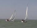 Kormor�n �vadz�r� 2008