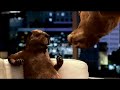 bell-beavers-commercial-talk-show-spiderman.html