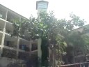 Plya Pool