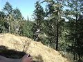 T Lo zip linein