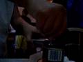 Sardines