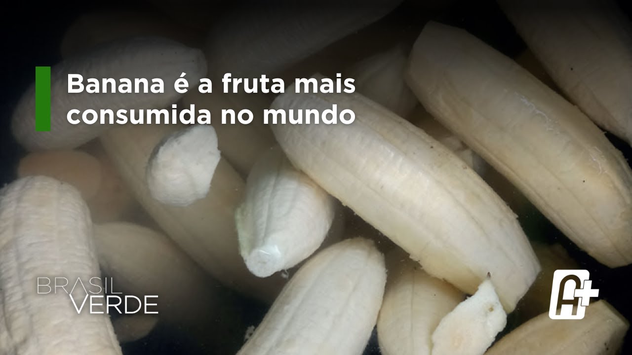 Banana é a fruta mais consumida no mundo: pesquisa desenvolve variedades mais resistentes a pragas