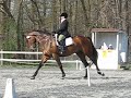 Direct Glenfiddich Dressage FHI P