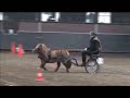 Vaardigheid 2008 Lisan Beemsterboer
