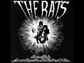 hull's own the rats. the original recording line-up with willie dixon's spoonful. the group underwent many changes before evolving into bowie's spiders from mars.