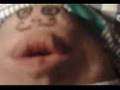 Mister Potatoe Mof-Flete