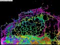 Water Partice Test