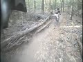 Flagstaff Fun Flagstaff Fun