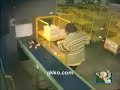 raccolta uova di gallina