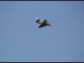 Scale Master RC - Presents Alfa A-4E Skyhawk In Flight!! Scale Master RC - Presents Alfa A-4E Skyhawk In Flight!!