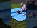 Click here to watch this video Colt trying to Crawl!