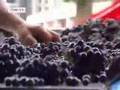 Journal Reporter | Klima und deutscher Rotwein