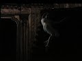  maureen Fleming Feminine archetype choreography dance butoh