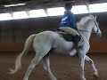 Canter Teh Ike Canter Teh Ike