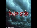 Seek & Destroy- TEMPESTAD (cover)