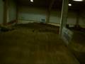 Dynaset Offroad Areena 2008