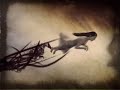 volmar letur eyga� aftur (the third eye foundation / matt elliott rmx, feat. com-data): written, animated & directed by olivier berry, alexia cui, olivier sipesaque & chung-hao samuel tung, additional editing by thomas koba.