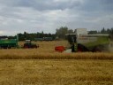 Lexion 560 Lexion 560