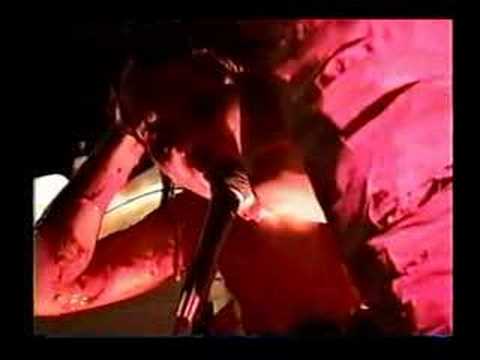 Pineal Ventana - Improv Expel Release 98