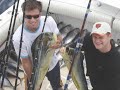 Fishing on the Reward
