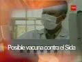 Descubren posible vacuna contra el sida