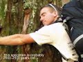 Along the Andes: Part 11 (Patagonia)