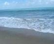 Sangama
