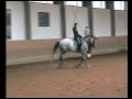 Pearl of Light - Reiten auf Kandare Pearl of Light - Reiten auf Kandare