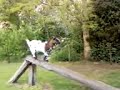 geit die niet spoort geit die niet spoort