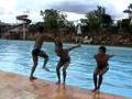 videos de Salto Mortal!