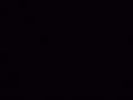 Tawny Owl (Strix aluco) hooting (at 3 and 29 s.)